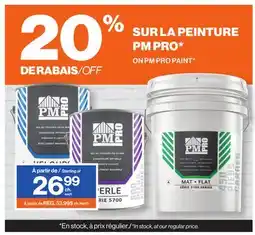 Patrick Morin ON PM PRO PAINT offer