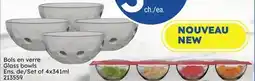 Rossy Glass bowls offer