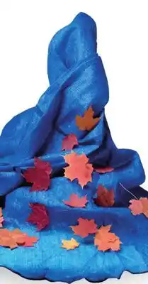 Canac Pool Leaf Net offer