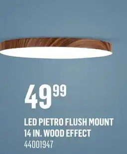 Canac LED Pietro Flush Mount 14 in offer
