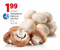 Avril QUÉBEC champignons blancs ou café bios offer