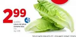 Avril cœurs de laitue romaine bios offer