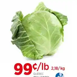 Avril chou vert bio offer