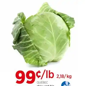 Avril chou vert bio offer