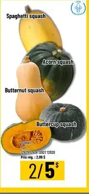 Mayrand Squash 1 un offer