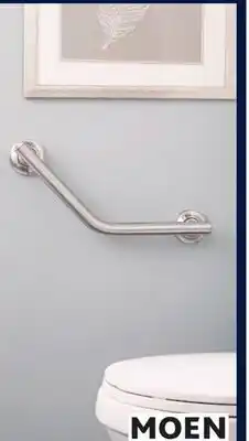RONA MOEN 16 grab bar offer