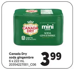 Wholesale Club SODA GINGEMBRE, 6 X 222 ML offer