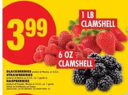 No Frills BLACKBERRIES, STRAWBERRIES, RASPBERRIES offer