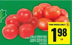 Food Basics Field Tomatoes & Roma Tomatoes offer