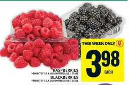 Food Basics Raspberries and Blackberries offer