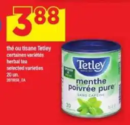 Maxi Tetley menthe poivrée pure offer