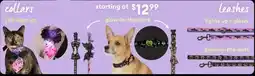 Petsmart Collars & Leashes offer