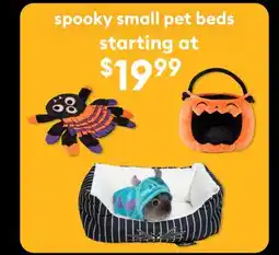 Petsmart Spooky small pet beds offer