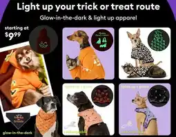Petsmart Light up your trick or treat route Glow-in-the-dark & light up apparel offer