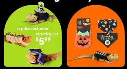 Petsmart Reptile costumes offer