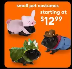 Petsmart Spooktacular styles for tiny tales! offer
