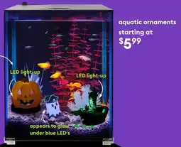 Petsmart aquatic ornaments offer