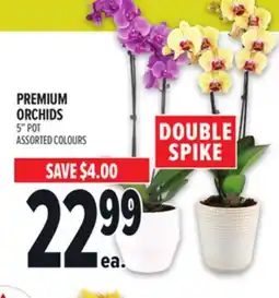 Metro PREMIUM ORCHIDS offer