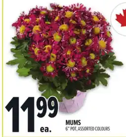 Metro MUMS offer