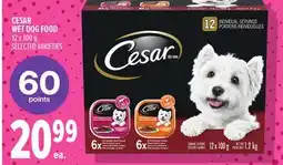 Metro CESAR WET DOG FOOD offer
