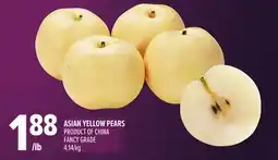 Metro ASIAN YELLOW PEARS offer