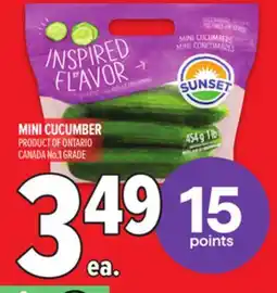 Metro MINI CUCUMBER offer