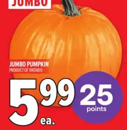 Metro JUMBO PUMPKIN offer