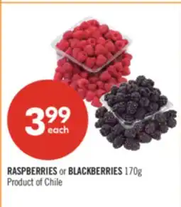 Shoppers Drug Mart RASPBERRIES or BLACKBERRIES offer