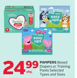 Rexall PAMPERS Boxed Diapers or Training Pants offer