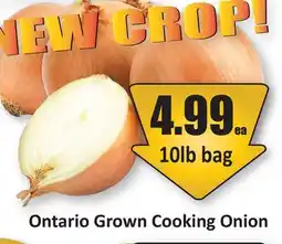 Starsky Ontario Grown Cooking Onion offer