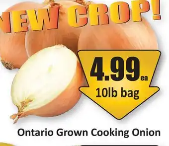 Starsky Ontario Grown Cooking Onion offer
