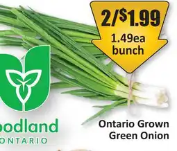 Starsky Ontario Grown Green Onion offer