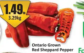 Starsky Ontario Grown Red Sheppard Pepper offer