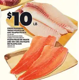 Independent City Market FRESH RAINBOW TROUT FILLETS OR ASC TILAPIA FILLETS offer