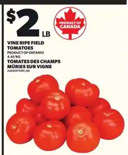 Independent City Market VINE RIPE FIELD TOMATOES offer
