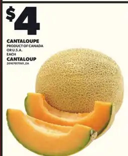 Independent City Market CANTALOUPE offer