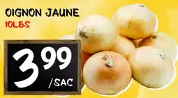 Marche Salaberry Oignon Jaune offer