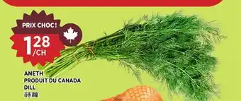 Kim Phat DILL offer