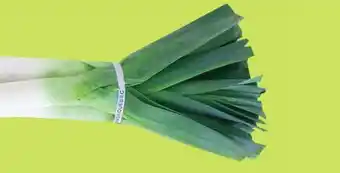 Kim Phat LEEKS offer