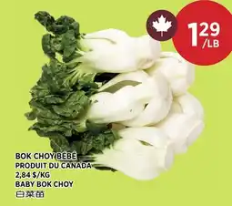 Kim Phat BABY BOK CHOY offer