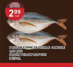 Kim Phat FROZEN YELLOW LEAF FISH offer