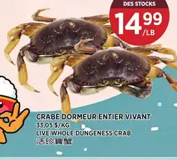 Kim Phat LIVE WHOLE DUNGENESS CRAB offer