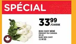 Kim Phat BOK CHOY BÉBÉ offer