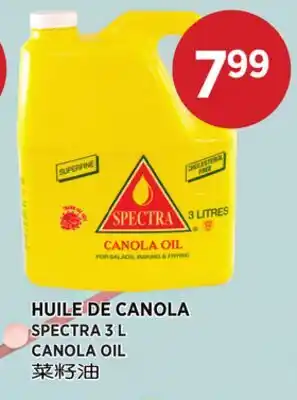 Kim Phat SPECTRA CANOLA OIL offer