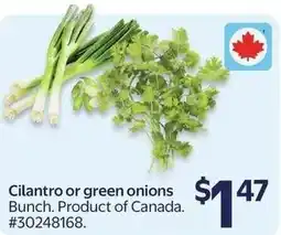 Walmart Cilantro or green onions offer