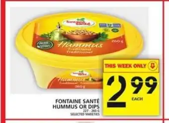 Food Basics Fontaine Santé Hummus or Dips offer