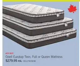 The Brick Springwall Odell Eurotop Twin Mattress offer