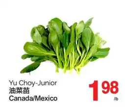 T&T Supermarket YU CHOY-JUNIOR offer