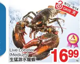 T&T Supermarket LIVE LOBSTER, (Medium) offer