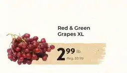 Marche Leo's Red & Green Grapes XL offer